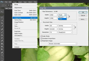Resizing Images in Photoshop