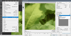 Saving Images for Web
