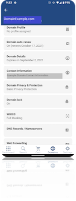 Domain name example in GoDaddy Investor app