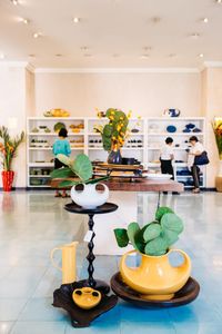 Plants and home decor on display inside retail store