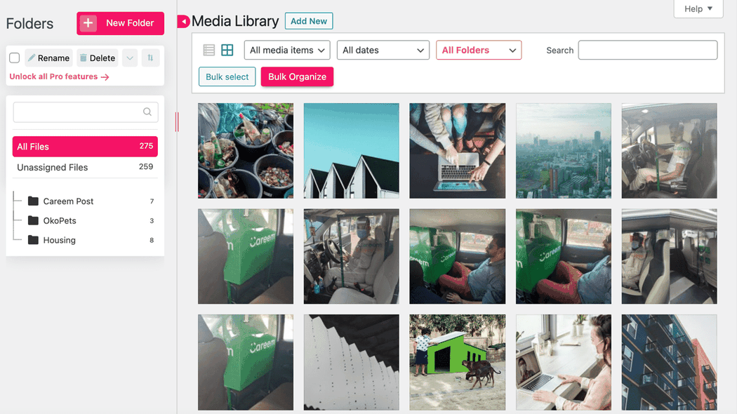 Organize WordPress Folders