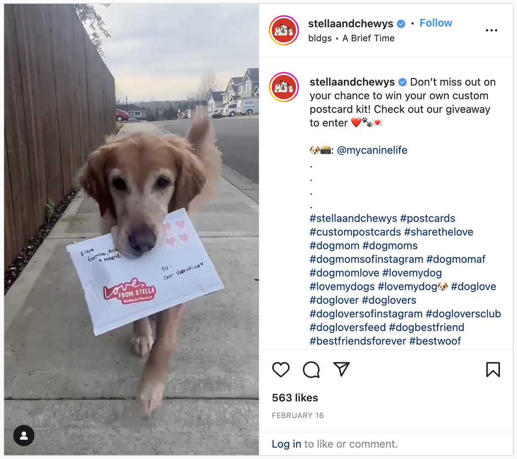 Stella & Chewy's repurposes influencer-generated content