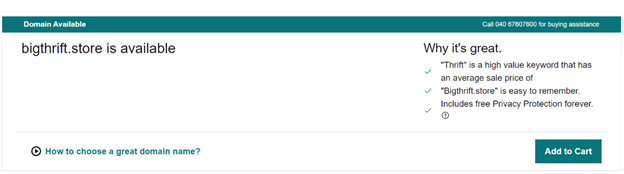 bigthrift.store domain extension example