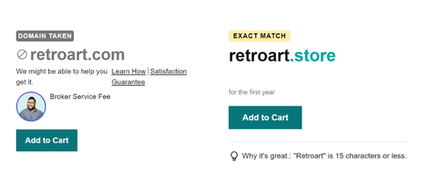 Retroart.store domain example