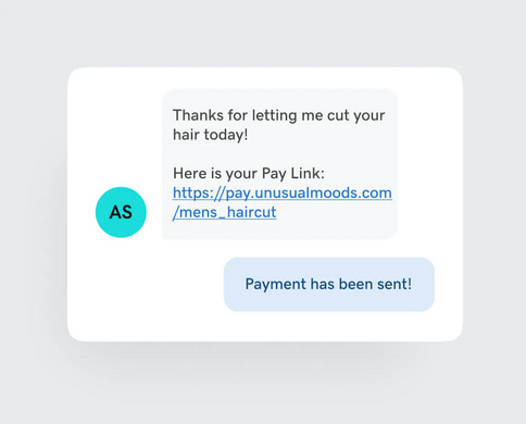 Pay link with business domain in text message
