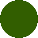 Twentytwentythree sample color #345C00