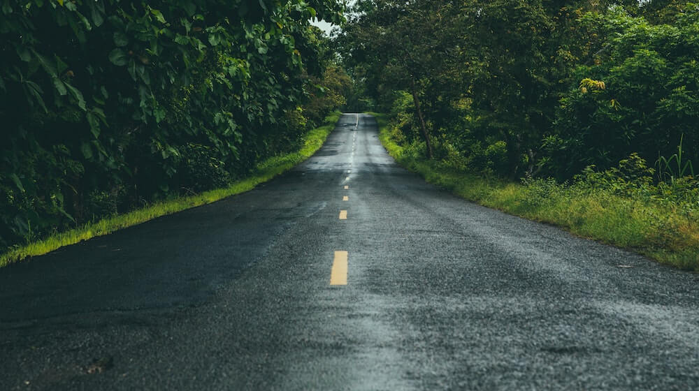 two-way road running through green landscape-2