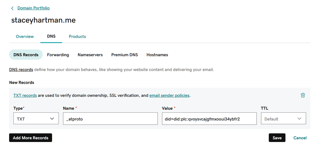 Bluesky TXT record settings for GoDaddy domain name