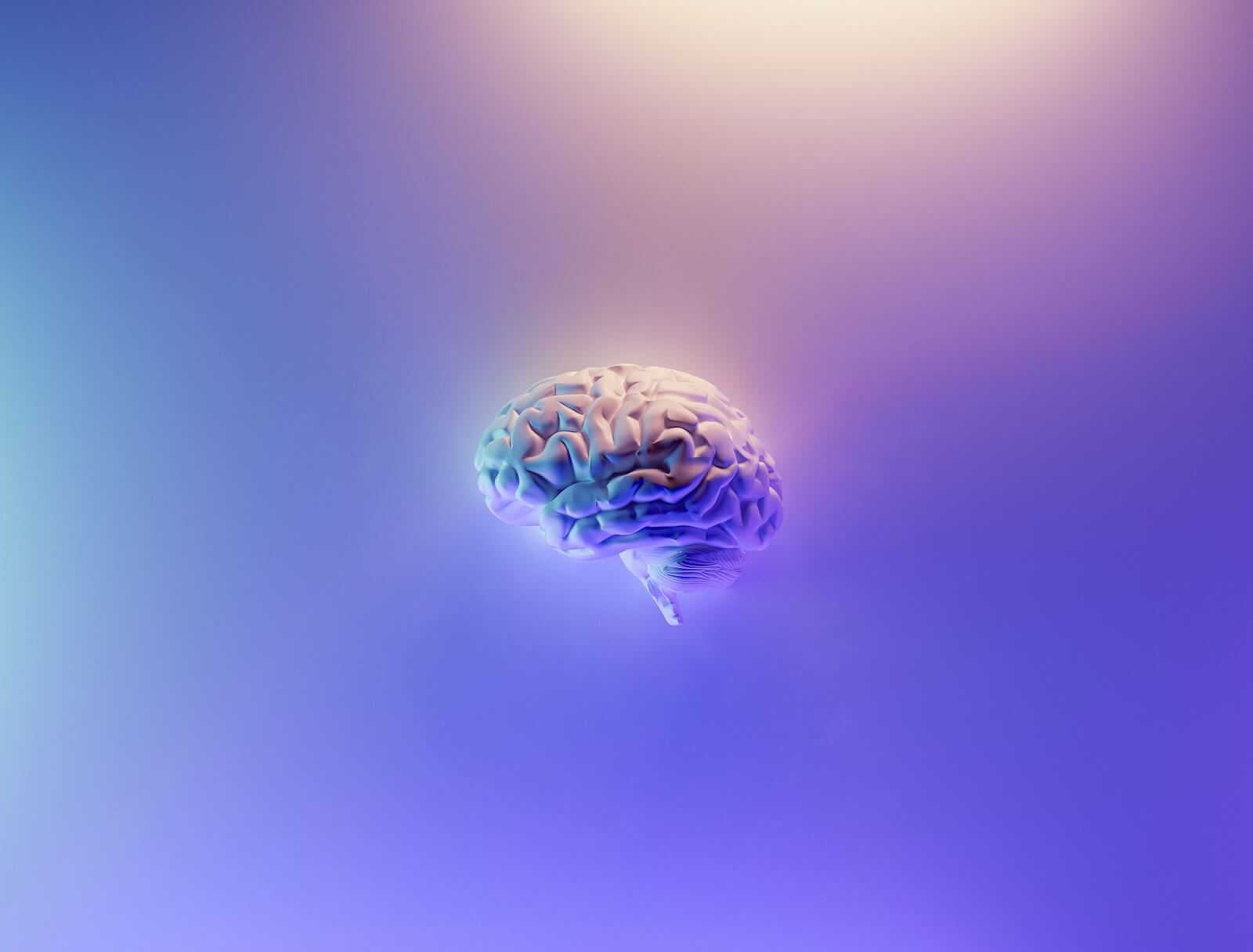 3D Graphic image of a brain in a gradient purple color(1)