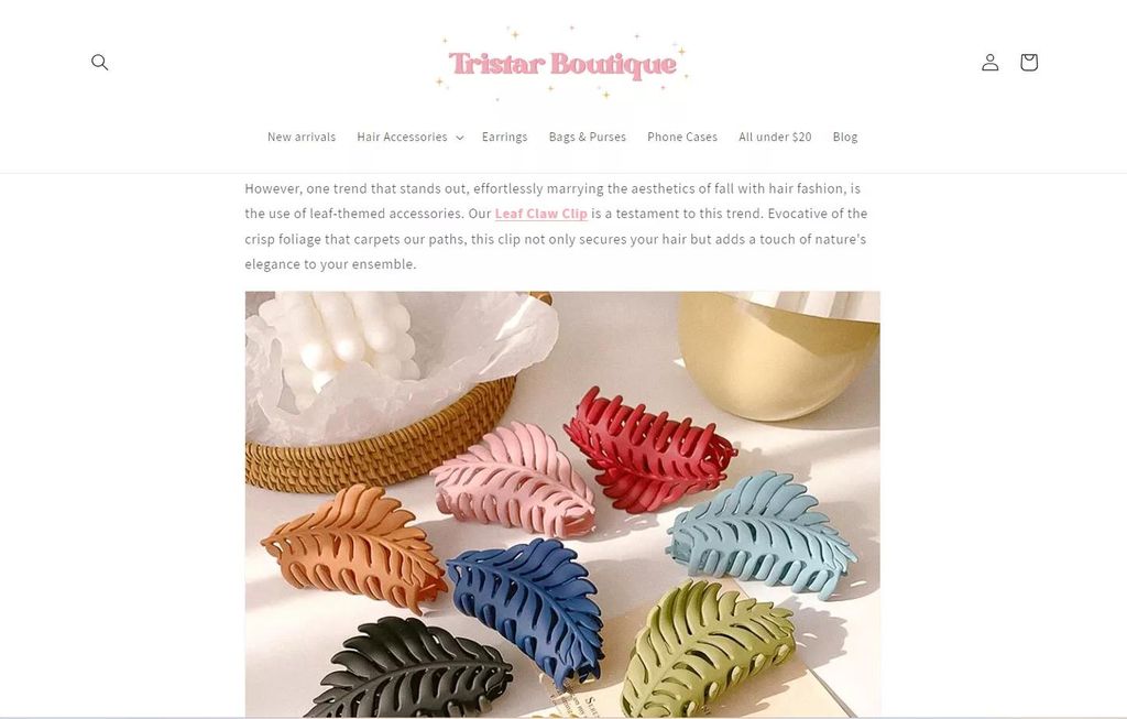 Example of a blog post with products displayed from Tristar Boutique