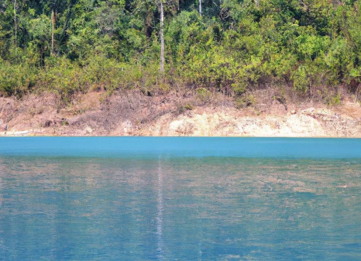 A body of water with trees in the background