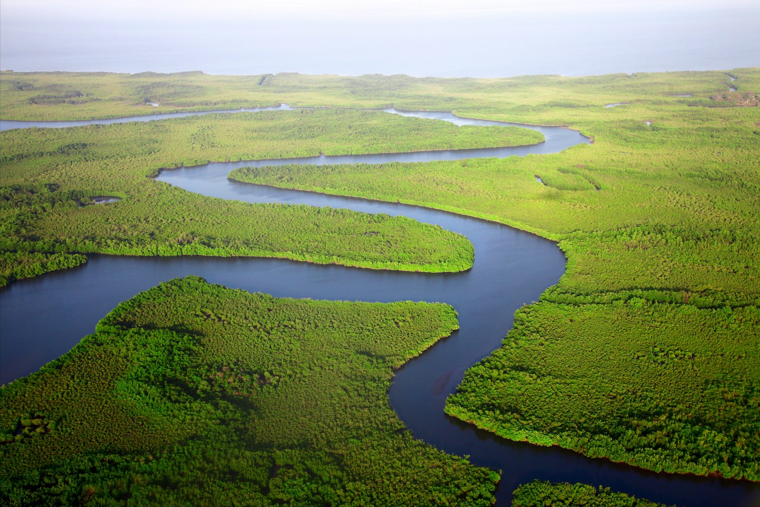 A serene river meandering through a vibrant green landscape, surrounded by lush vegetation