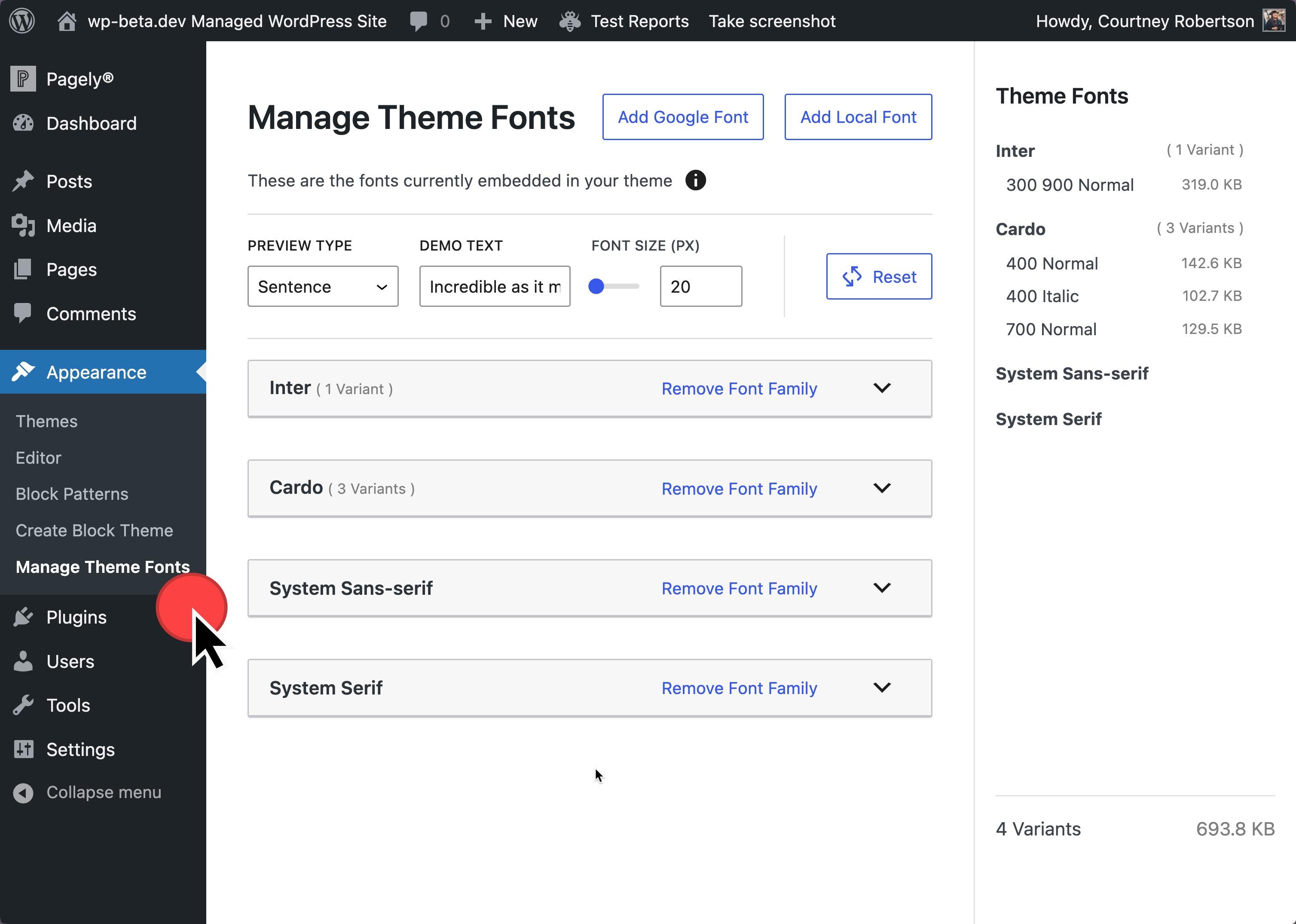 Appearance, Manage Theme Fonts