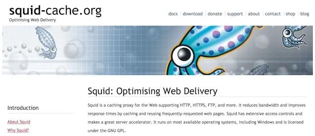 A Screenshot Depicts the Home Page of Squid