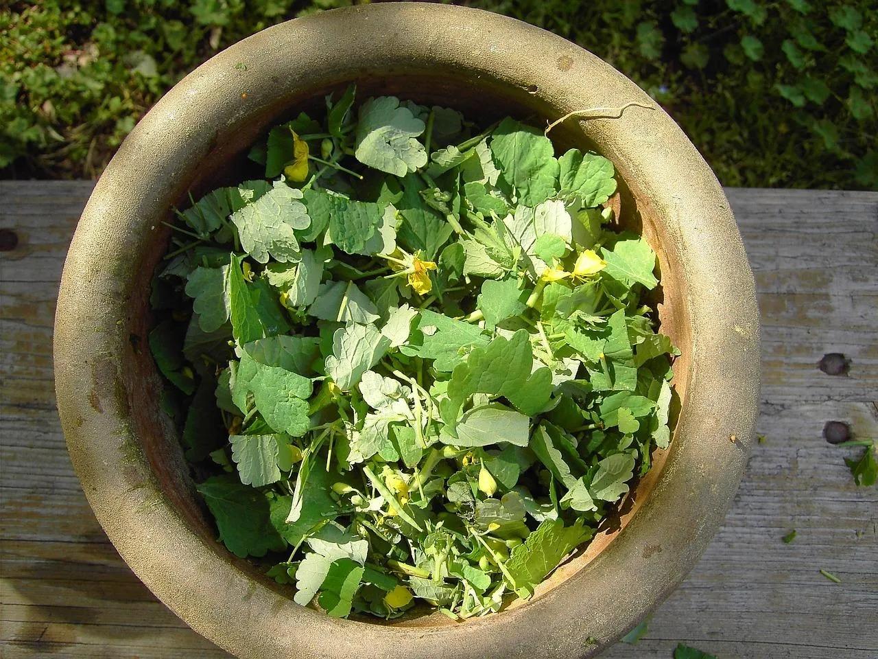 A Mortar Bowl Represents Combining Elements