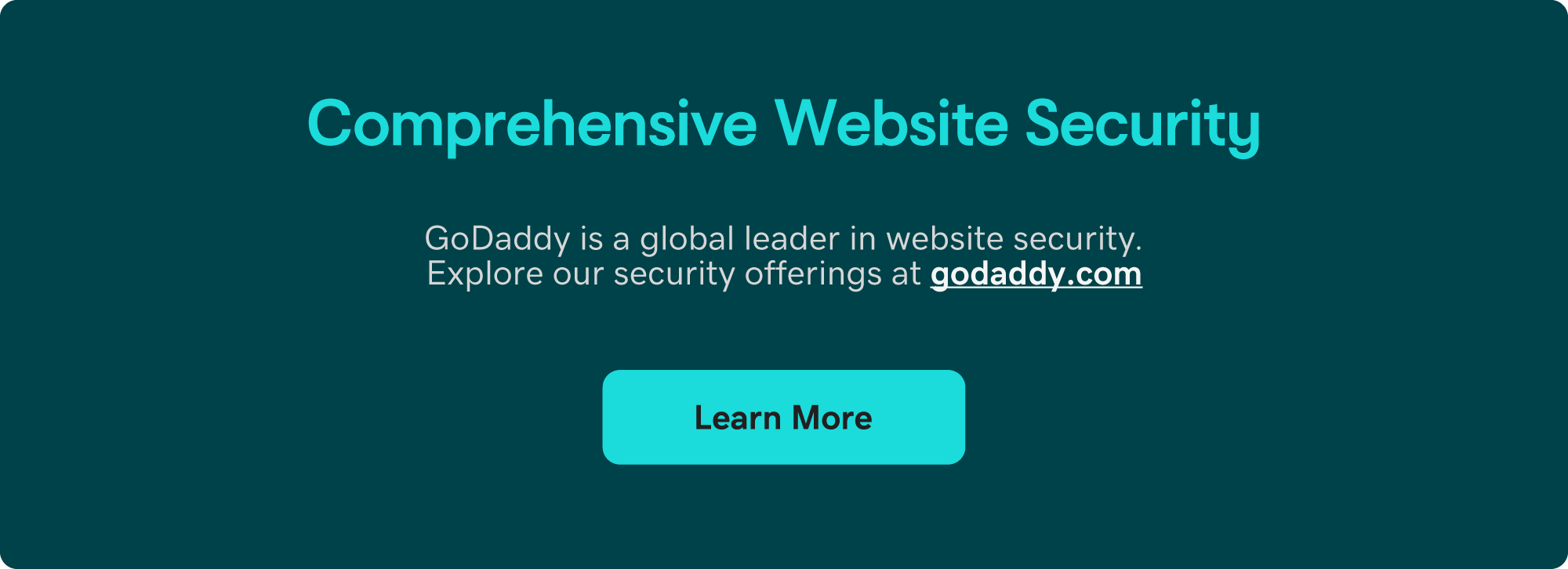 Comprehensive Website Security