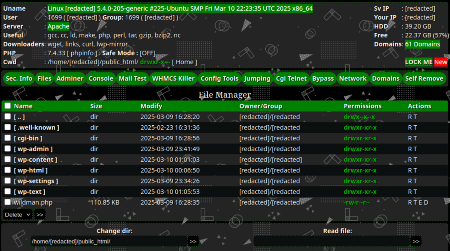 Example of a web shell interface.