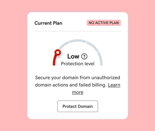 GoDaddy domain protection