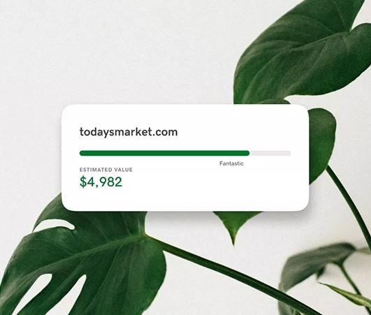 GoDaddy Discount Domain Club