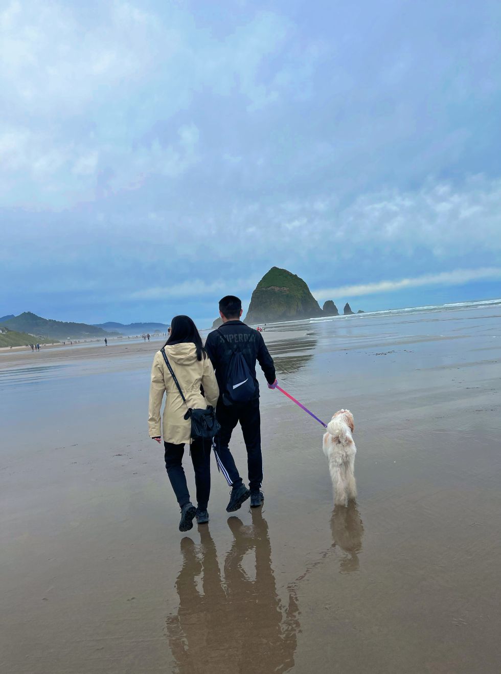 a man and woman walking a dog on a beach