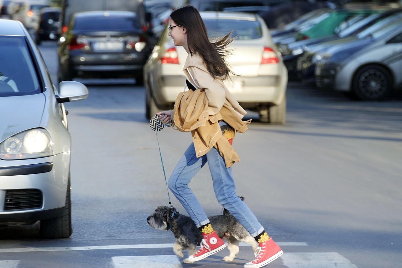 A Woman Walks a Dog across a Busy Intersection