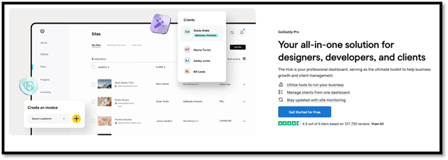 GoDaddy Pro built for professionals who manage multiple websites and client accounts