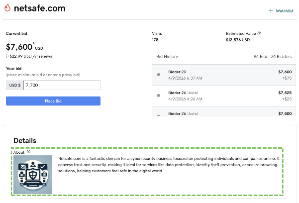 Screenshot of domain listing page enhanced with AI-generated logo and description.