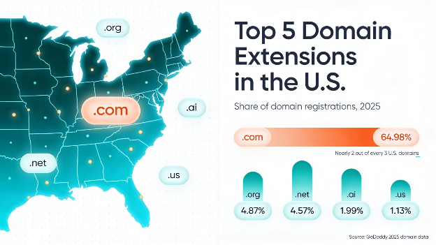 Graphic showing the top 5 domain extensions in the United States