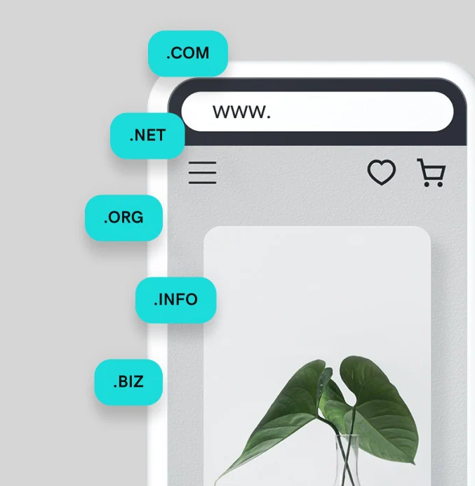 domain discount club
