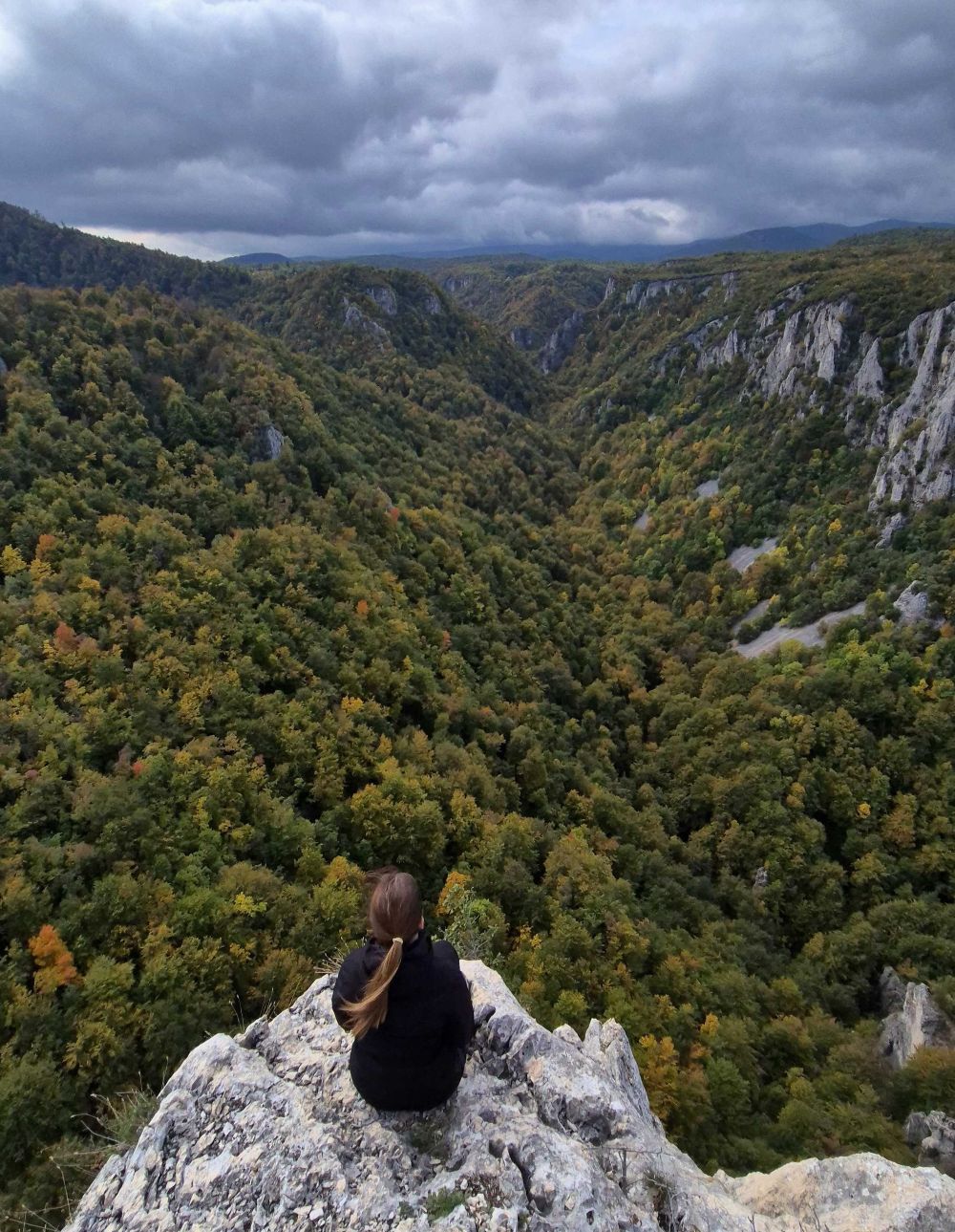 a person sitting on a rock overlooking a forest