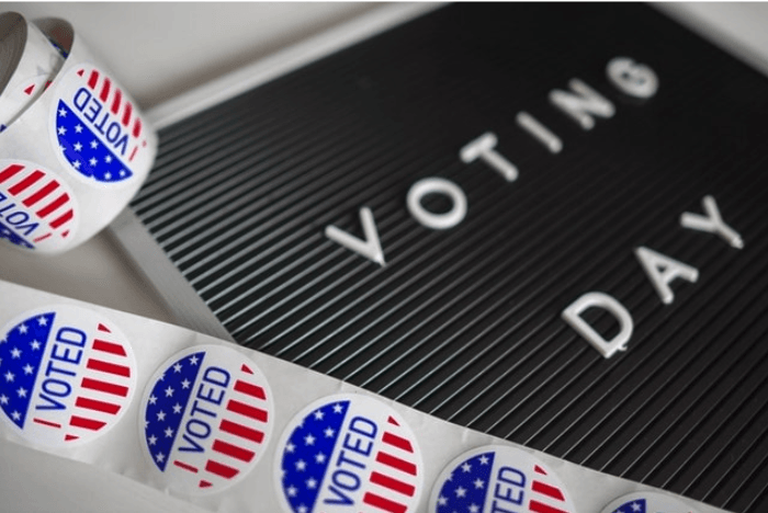 Domain Extensions Voting Day Stickers