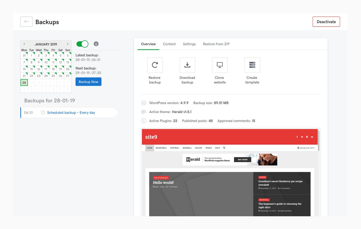 website management backup