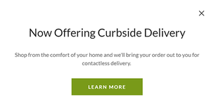 Websites + Marketing Popup