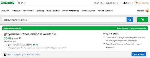 Buy Premium Domain Get Insurance Online Example
