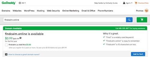 Buy Premium Domain Investment