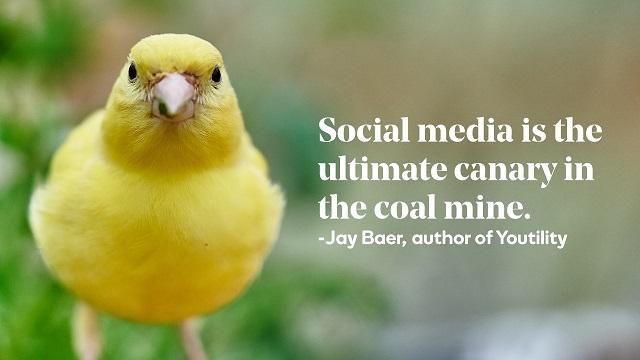 Canary with Jay Baer Social Media Quote