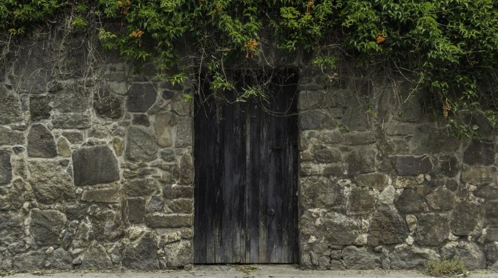 Company Email Address