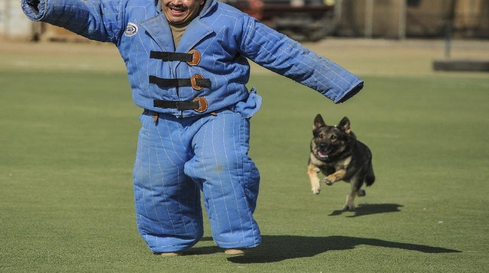 Content Security Policy Guarddog