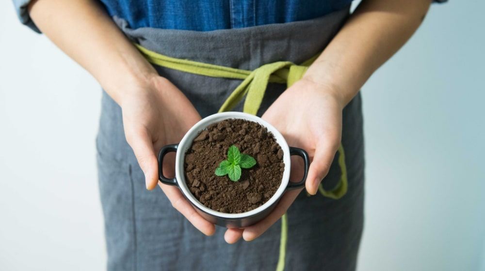Create A Marketing Plan Person Holding Plant