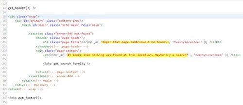 custom 404 Page WordPress Coding