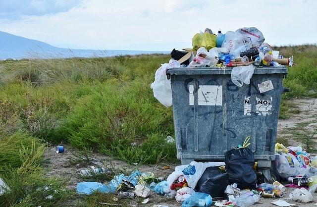 Data Bias Garbage