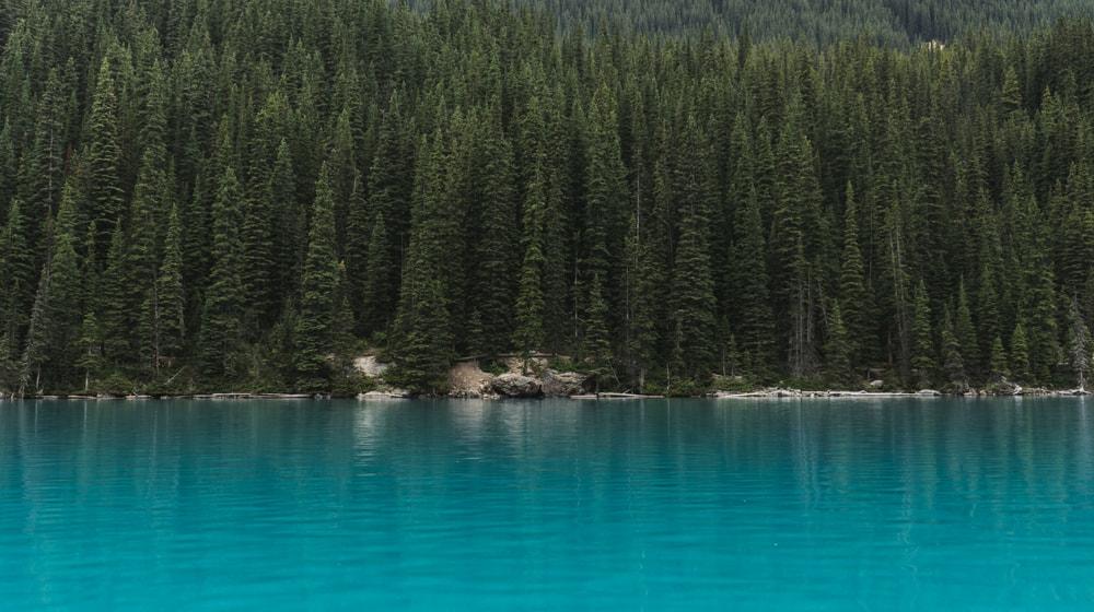 Direct Response Marketing Evergreen