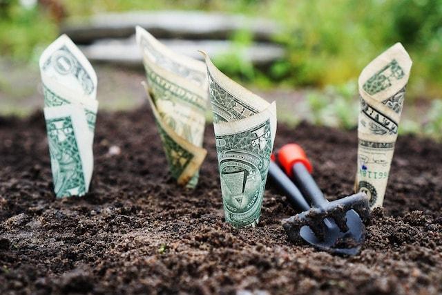 Dollar Bills in Ground Represent Seed Funding