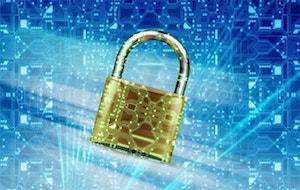 Domain Name Ownership Lock
