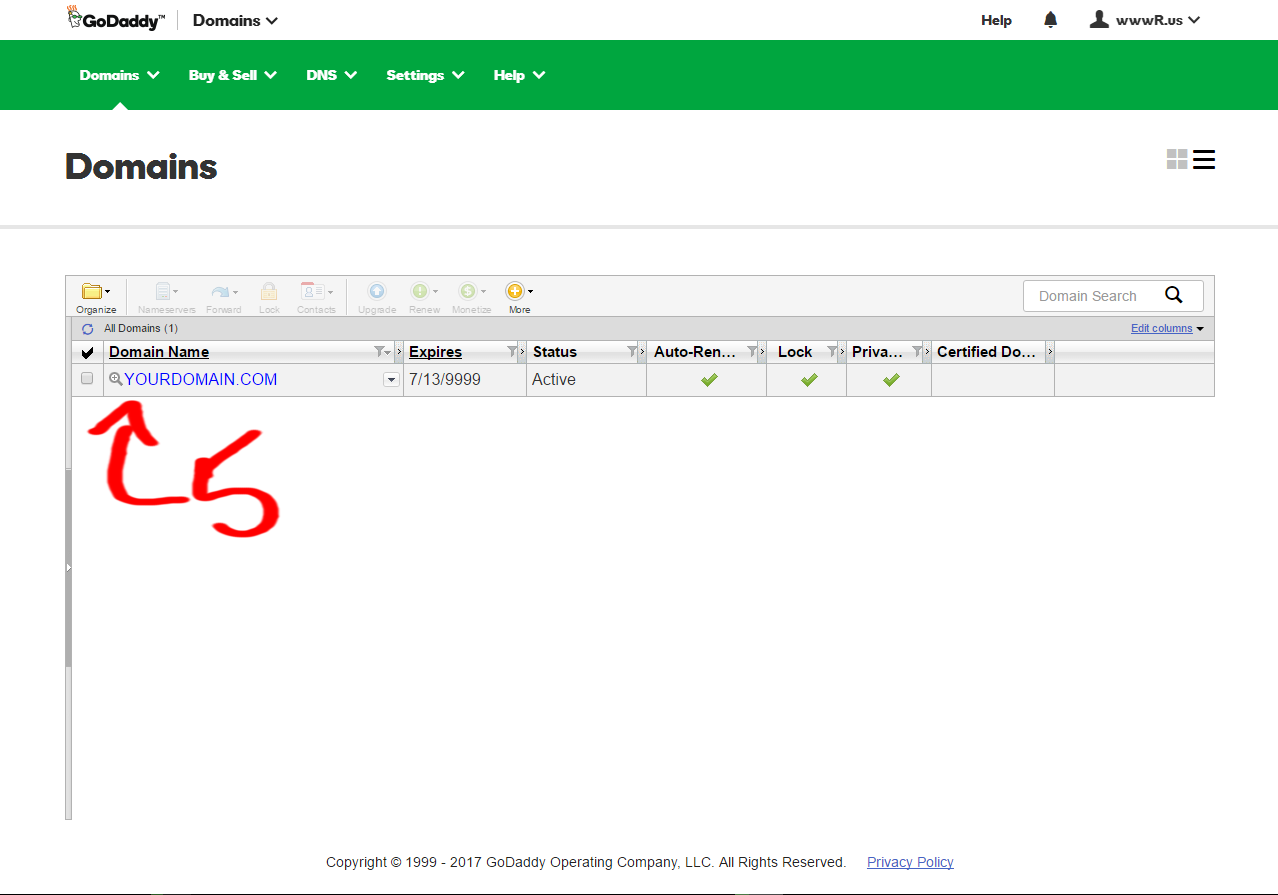 Domains & DNS Manage Domains