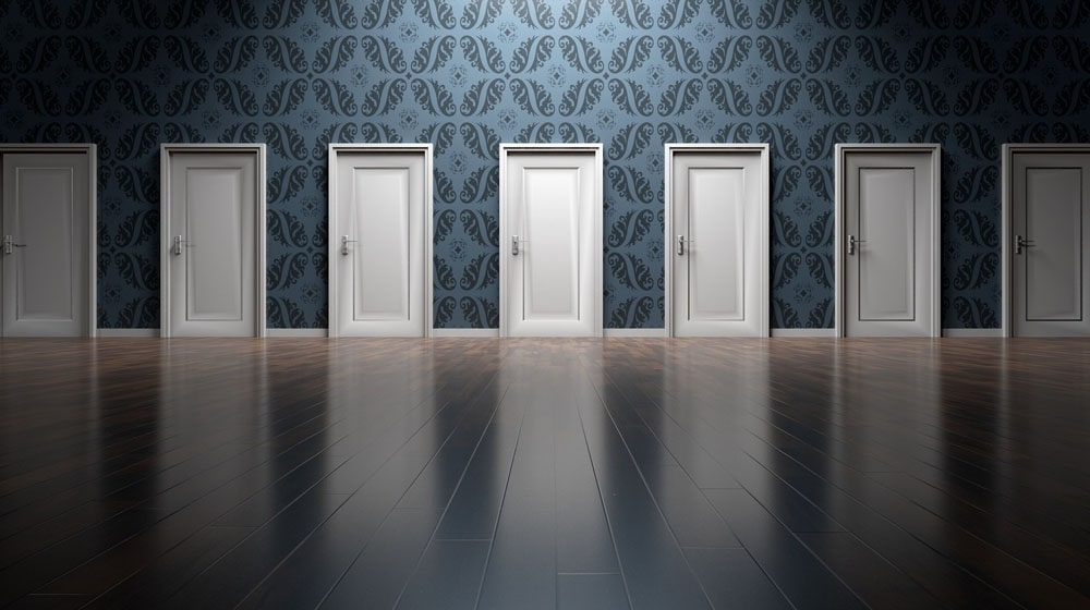 Doors Represent Business Model Options