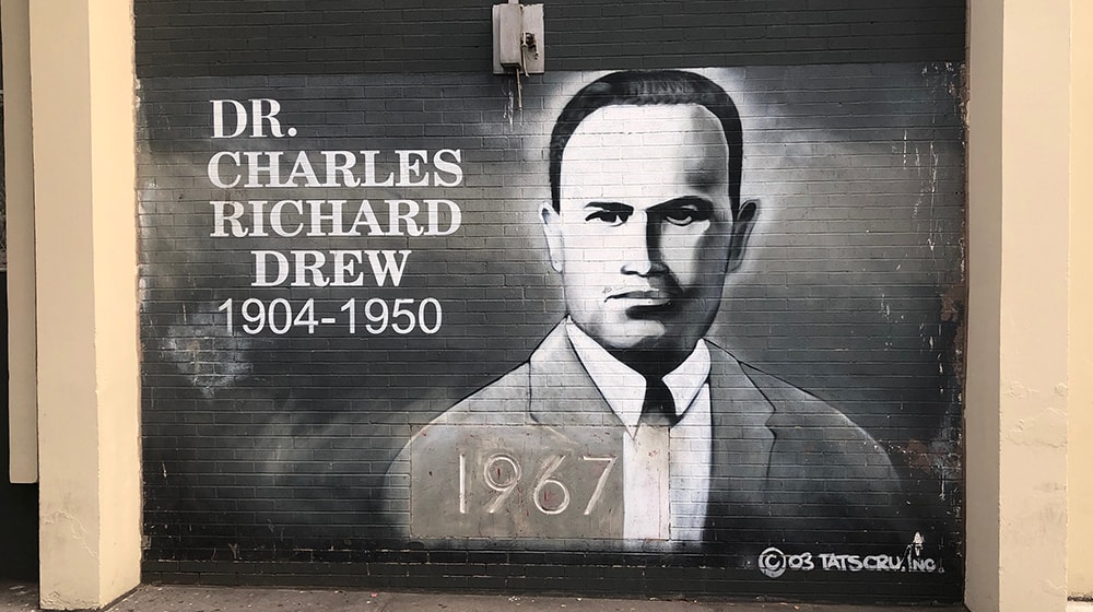 Dr. Charles Drew