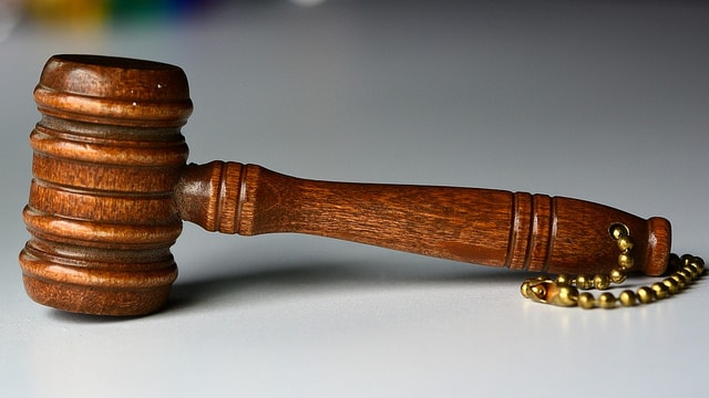 eCommerce Guidelines Gavel