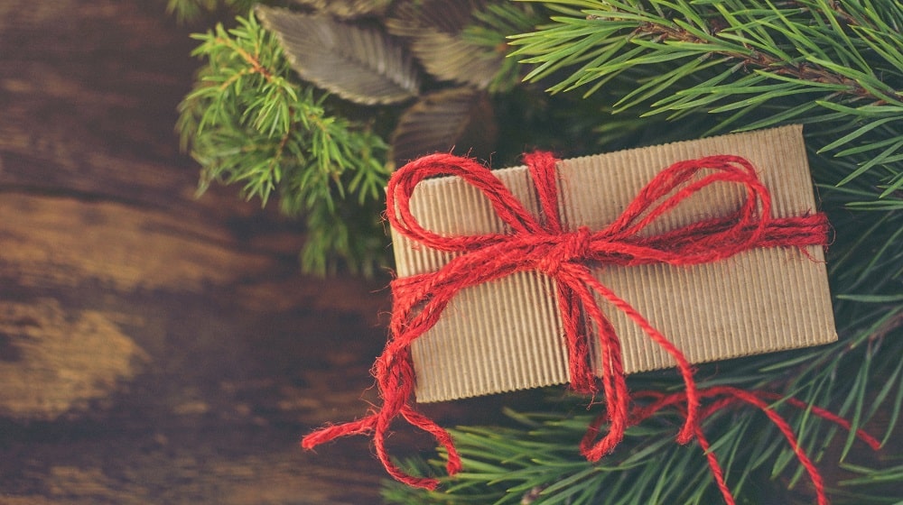 Holiday Wrapped Present On Pine Branch