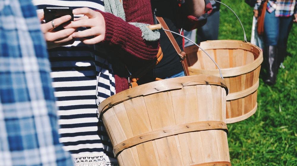 Free Business Phone Number Basket